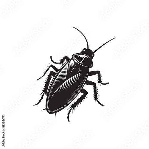 Cockroach Silhouette Vector Illustration, Solid White Background.