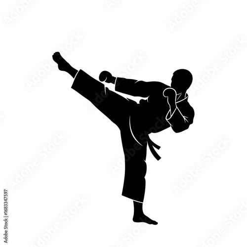 Silhouette of a martial artist performing a powerful high kick.