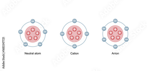 Cation and Anion Structure. Neutral atom. Scientific Design. Vector Illustration.