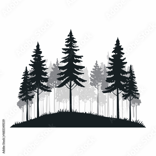 Forest scene silhouette. This image depicts a serene forest with tall trees in a grayscale silhouette, showcasing a tranquil and natural woodland landscape. Vector clipart illustration design.