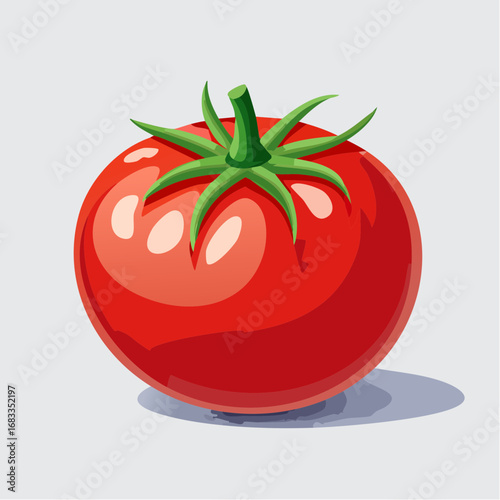 Red Tomato Illustration