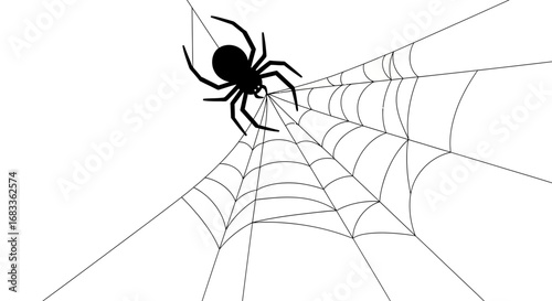 Black spider lurking on a detailed web, creating suspense and a touch of Halloween fright