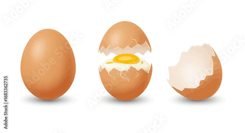 Fresh brown egg stages showing whole cracked and empty shell with vibrant yolk detail