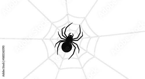 Spooky black spider waits patiently on its intricate web, perfect for Halloween themes.
