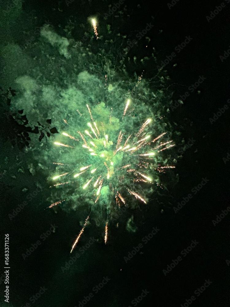 Fototapeta premium Spectacular Green Fireworks Over a Vibrant City at Night, Colorful Explosions Lighting Up the Sky