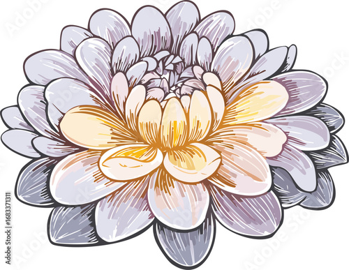 Delicate floral bloom with layered petals in soft hues flower nature