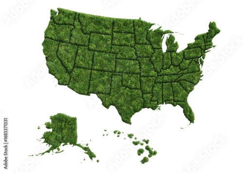 Map of the USA Covered in Green Grass