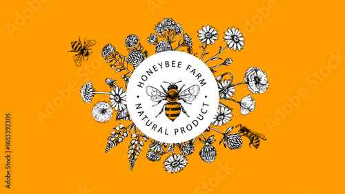 Hand drawn vintage honey and wildflowers banner. Hand drawn vector illustration. Packaging design