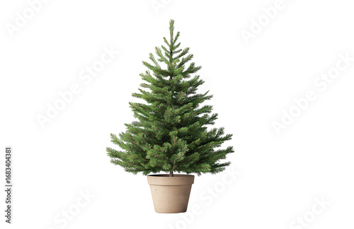Artificial Christmas Tree in Pot with Transparent Background