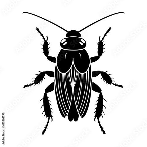 Cockroach or cockroach silhouette graphic, seamless and detailed form, suitable for use in natural biology or paste illustration work.