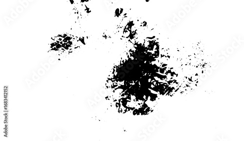 This abstract composition showcases dynamic black splatter shapes and grainy textures against a stark white background, creating a bold, high-contrast, and graphic effect