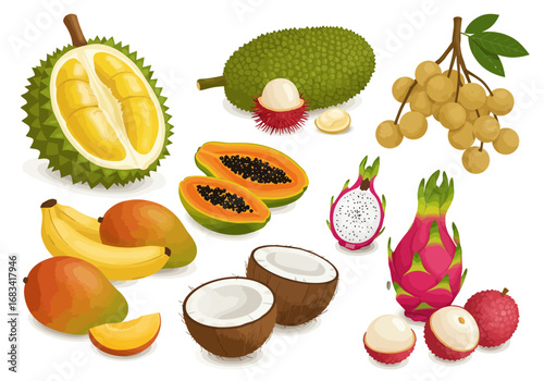 An assortment of tropical fruits including bananas durian mango coconut papaya dragon fruit lychee and longan