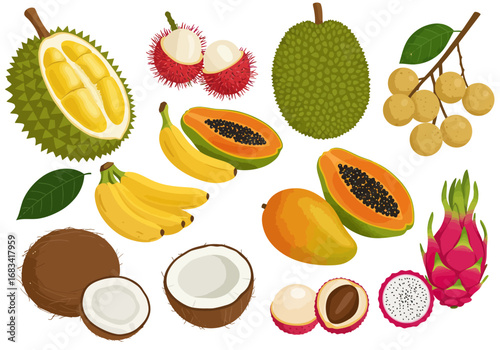 An assortment of tropical fruits including durian rambutan papaya mango coconut banana lychee and dragon fruit