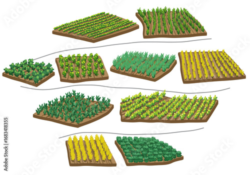 Depicts several plots of farmland each cultivated with a different crop arranged on a white background with lightgrey lines