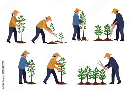 Farmers planting trees