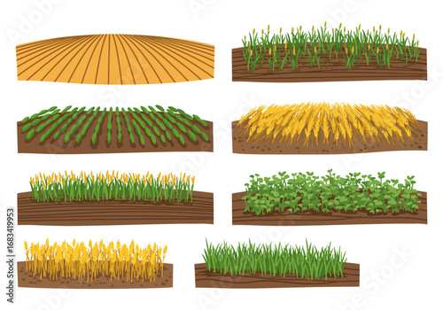 Illustrated crops showing fields of varying plant growth on brown soil