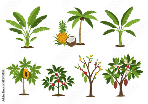 Image showing various tropical crops and plants including bananas pineapple coconut papaya coffee and cocoa