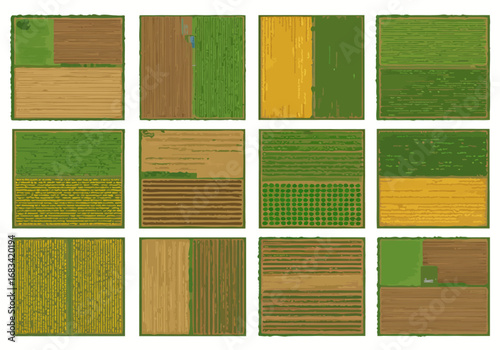 Overhead view of twelve gridded agricultural fields with diverse crops