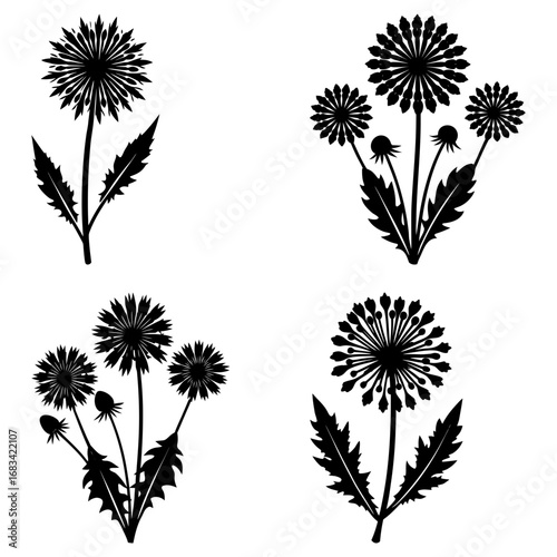 Illustration of four dandelion flower arrangements in black silhouette on a white background design element