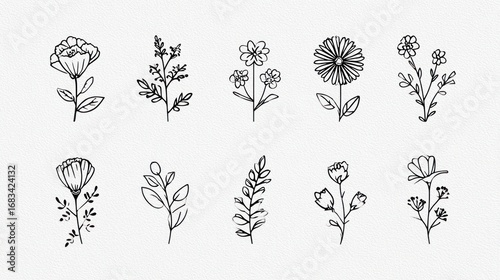Ten hand-drawn, delicate floral sketches on a light, textured background, in elegant linework