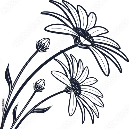 Dark blue outline daisies and buds on white background