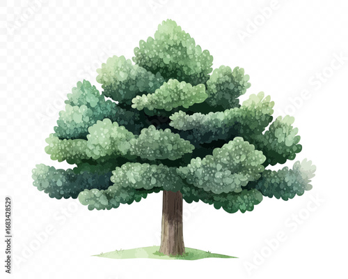 Watercolor tree with tall brown trunk and dense layered green foliage, painted in natural artistic style with soft shadows and grassy base. Vector illustration.