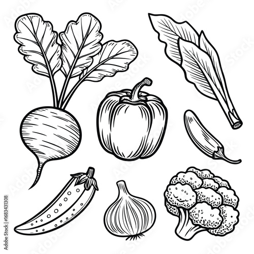 Illustration of various vegetables including a beet pepper eggplant garlic and broccoli in black and white