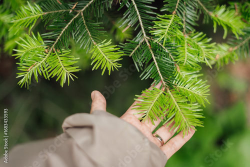 The color of the new leaves is lighter.