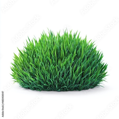 Lush green grass clump isolated