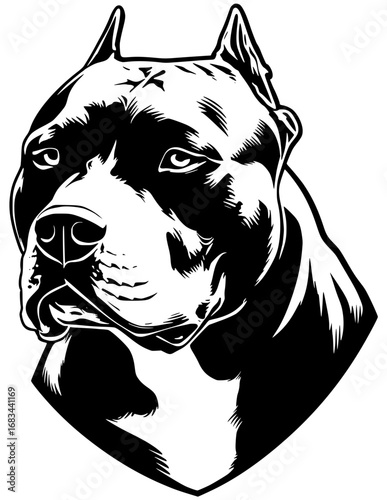 Big pitbull face looking to the side
