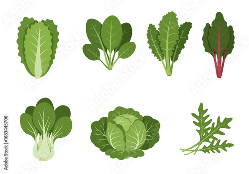 A collection of six different green leafy vegetables with distinct leaf shapes and forms