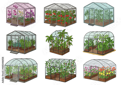 Nine greenhouse illustrations show various plants like orchids tomatoes  palms inside