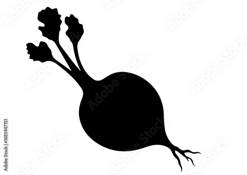 Black beet silhouette with roots and leaves on white background  