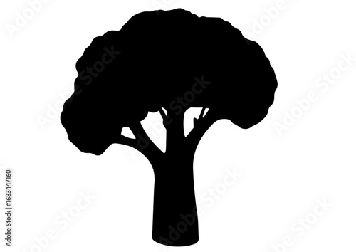 Silhouette of a cauliflower floret on a white background  
