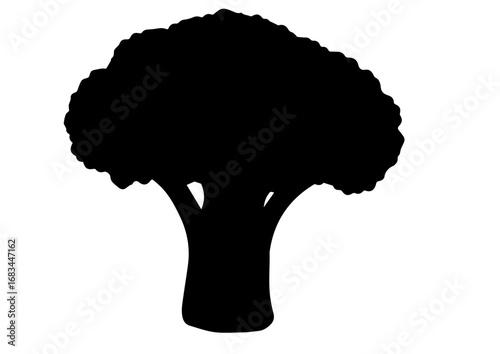 Broccoli floret silhouette on a white background  