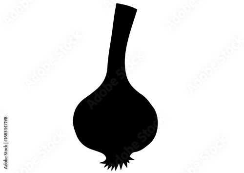 Black garlic bulb silhouette on white background  