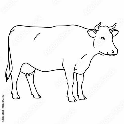 Dairy Cow vector