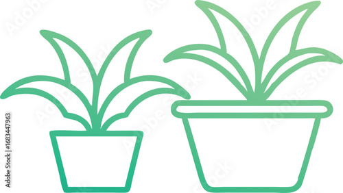 green plant in a pot