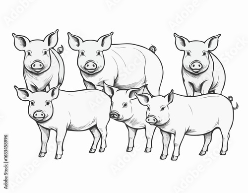 Set of pigs hand drawn sketch illustration Farming