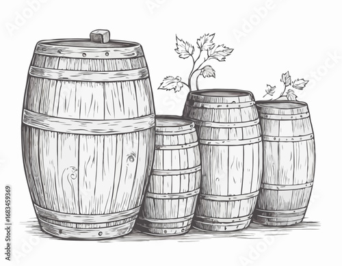 Wooden barrels of wine vintage sketch hand drawn engraved style Vector illustration