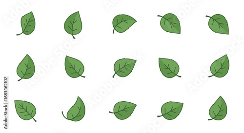 Collection of Green Leaves