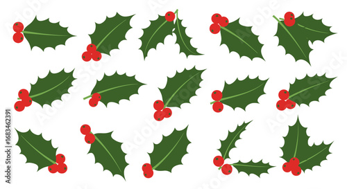 Festive holly berry sprigs perfect for holiday greeting cards, seasonal designs, and decorations