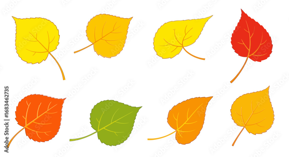 Obraz premium Vibrant autumn leaves in a spectrum of warm colors, perfect for seasonal designs and nature themes.