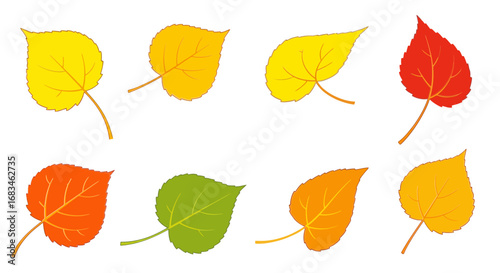 Vibrant autumn leaves in a spectrum of warm colors, perfect for seasonal designs and nature themes.