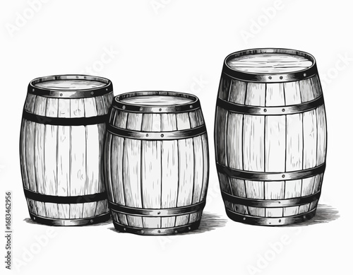 Three vintage wooden barrels for wine and beer hand drawn sketch engraving style Vector illustration