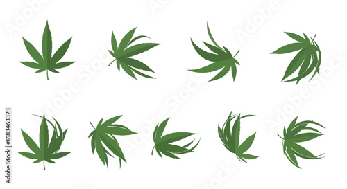 Green marijuana leaves in various arrangements, perfect for wellness, health, and natural themes