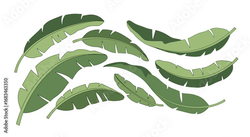 Tropical banana leaves arrangement design for exotic decor, vibrant summer vibes, modern style
