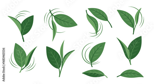 Fresh green tea leaves in various arrangements perfect for illustrating health and wellness