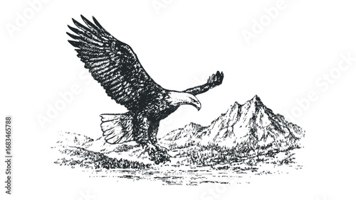 Bald eagle soaring over rugged mountains and water. Vector hand drawn illustration