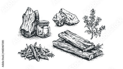 Botanical drawing of palo santo wood sticks and flowering sprigs. Vector hand drawn illustration